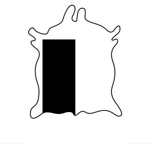 Grupón Zapatero