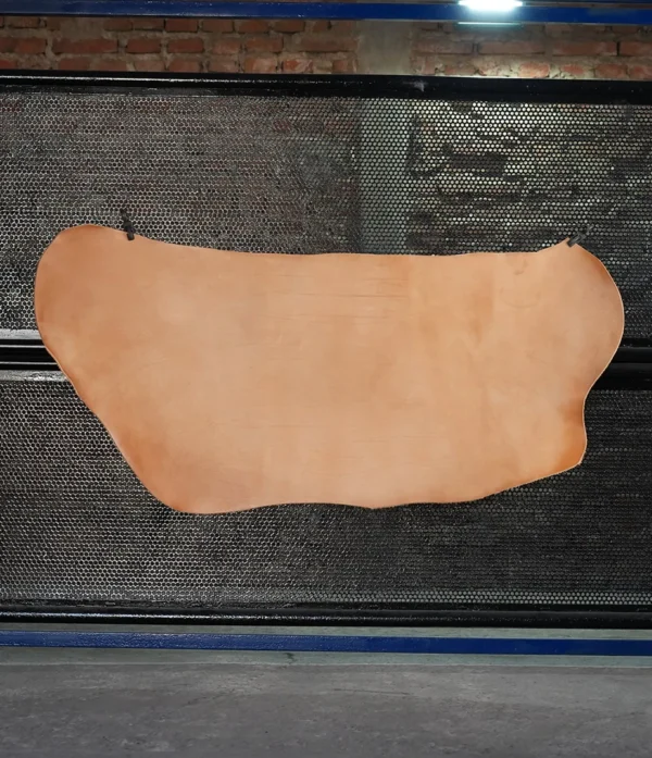 Cabeza Zapatero Natural