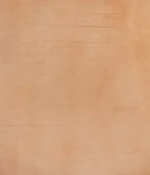 Cabeza Zapatero Natural pp Cabeza Zapatero Natural