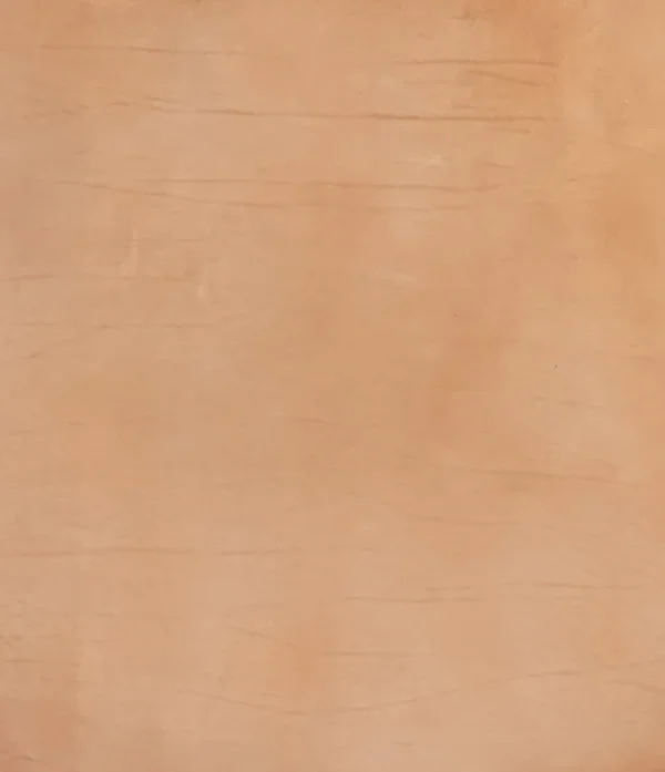 Cabeza Zapatero Natural