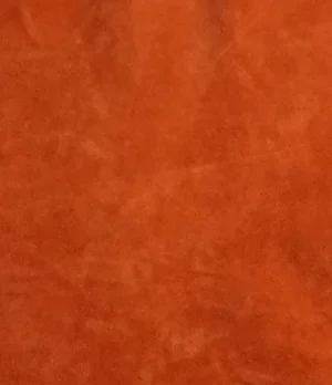 Descarne Gamuzón Suela