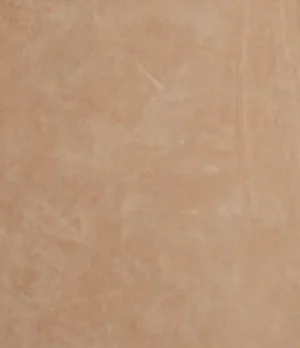 Descarne Gamuzón Natural