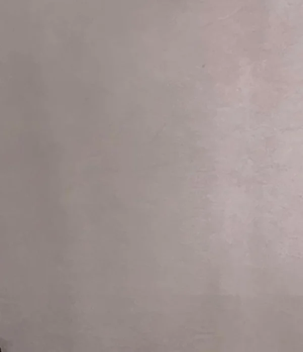 Cuero Entero Gris Plata